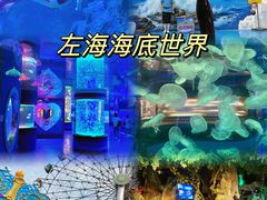 -左海海底世界
