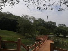 -凤凰沟景区