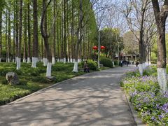 -泰州凤城河风景区-泰山公园