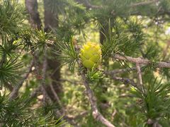 -白草畔自然风景区