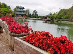 -黑龙潭公园