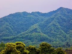 -青城山