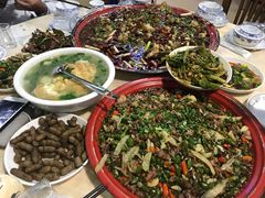 -东吴霸王兔(松青路店)
