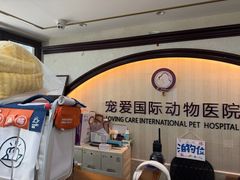 -宠爱国际动物医院·消化内科·心肾内科·ISFM猫友好(望京店)