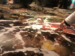 -西雅图水族馆