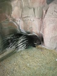 -酷嗒动物文化乐园(cutezoo西溪乐天城店)