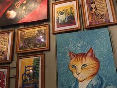 -猫咪博物馆(顶澳仔猫街店)