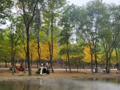 -长白岛森林公园