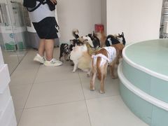 -怪兽屋·羊驼·猫咖·狗咖(俊华广场店)