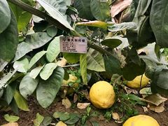 -南通洲际绿博园