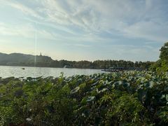 -湖畔居茶楼(湖滨店)