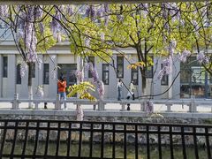 -江南大学(蠡湖校区)