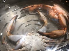 -苏大嘴海鲜牧场(奥林匹克店)