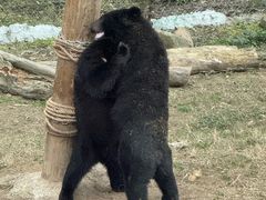 -乐和乐都动物主题乐园