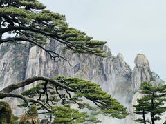 -黄山风景区
