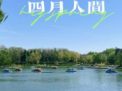 -陶然亭公园