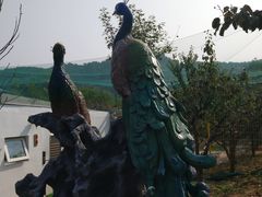 -丽泽山庄·生态怀柔菜·虹鳟鱼(红螺寺店)