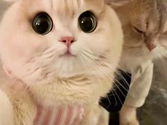 -圣罗巴海鲜烤肉自助(西城红场店)