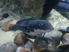 -多彩贵州城极地海洋世界