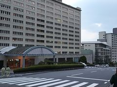 -别府杉乃井酒店