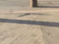 -好莱坞环球影城