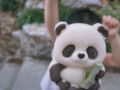 -杭州动物园