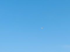 -大湾区中央湿地公园