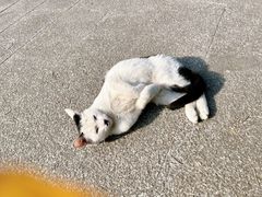 -汉长安城未央宫国家考古遗址公园