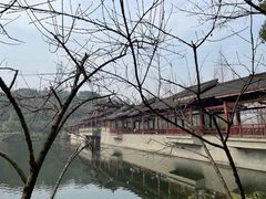 -重庆彩云湖湿地公园