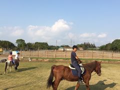 -上海长兴岛郊野公园