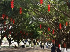 -南沙天后宫景区