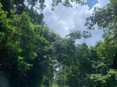 -胡仕光陵水酸粉