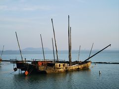-贡湖湾湿地公园