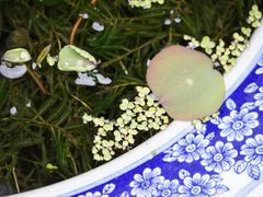 -潜研堂钱大昕故居
