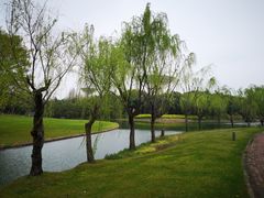 -上海佘山世茂艾美酒店