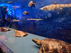 -上海中国航海博物馆