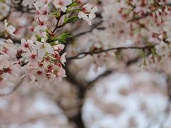 -西北湖绿化广场