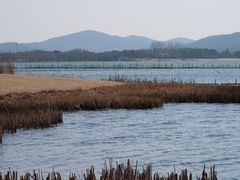 -贡湖湾湿地公园