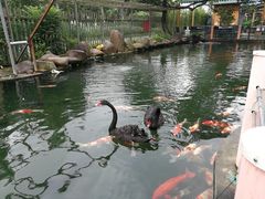 -湖鲜楼