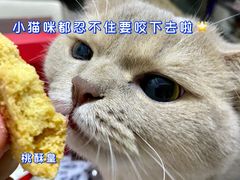 -诚志饼家·小凤饼非遗传承(中山六路店)