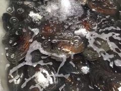 -八仔大富楼·河鲜(西江店)