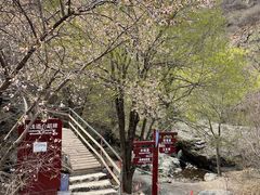 -京西十八潭风景区