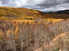 -塞罕坝国家级自然保护区