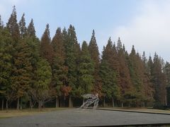 -同里国家湿地公园