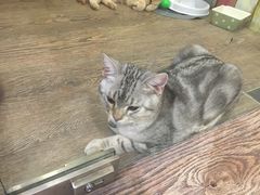 -小时光咖啡馆(开森度假森林店)