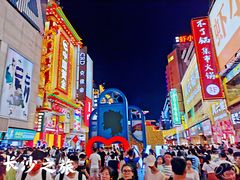 -壹盏灯(惠农店)