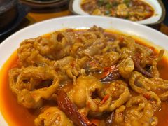 -红辣椒八爪鱼特色韩国料理