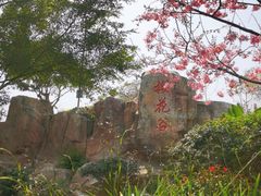 -狐尾山公园