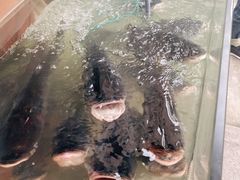 -千峡湖生态旅游度假区