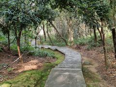 -西樵山风景名胜区-天湖公园